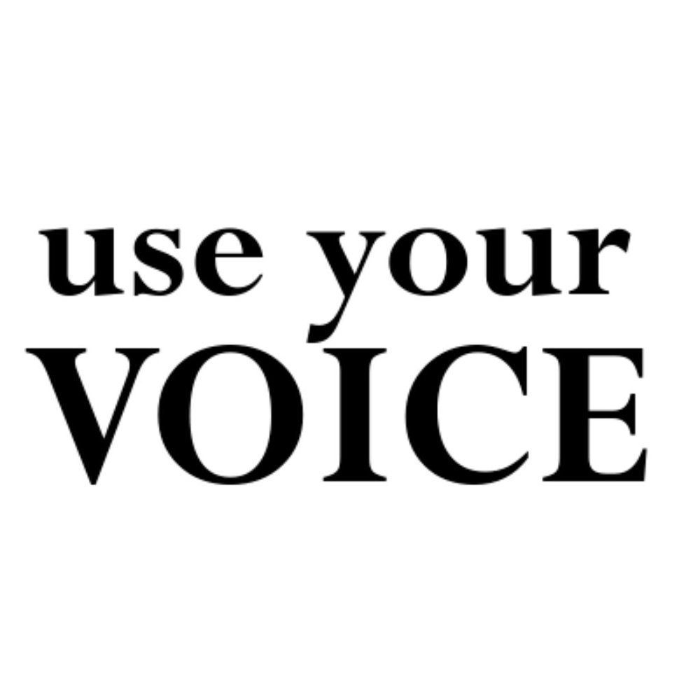 V is Voice